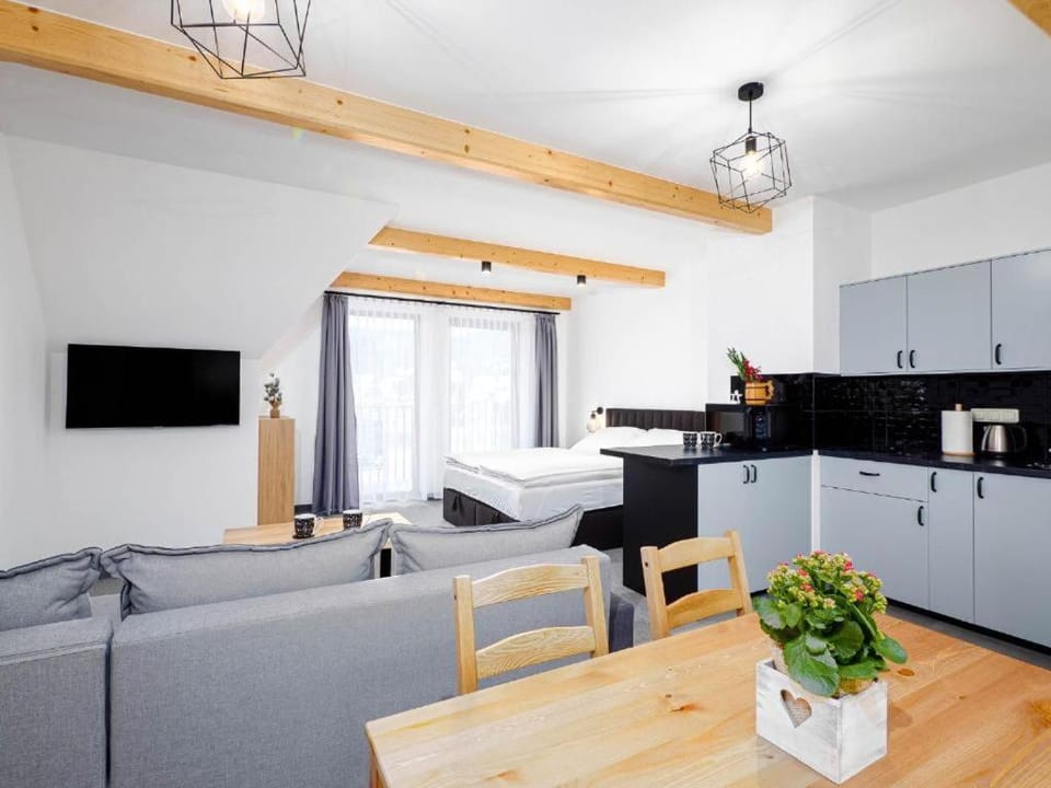 Bed, TV and multimedia, Kitchen or kitchenette, Living room, Photo of the whole room, Seating area, Dining area, Bedroom, minibar, stove