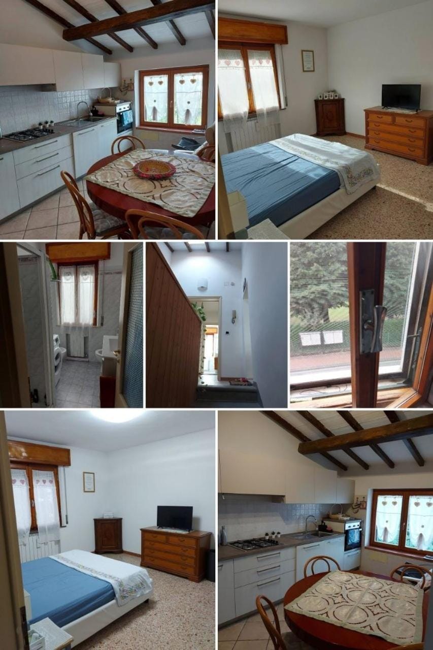 Bed, Kitchen or kitchenette, Photo of the whole room, Bedroom