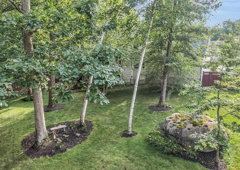 Garden view