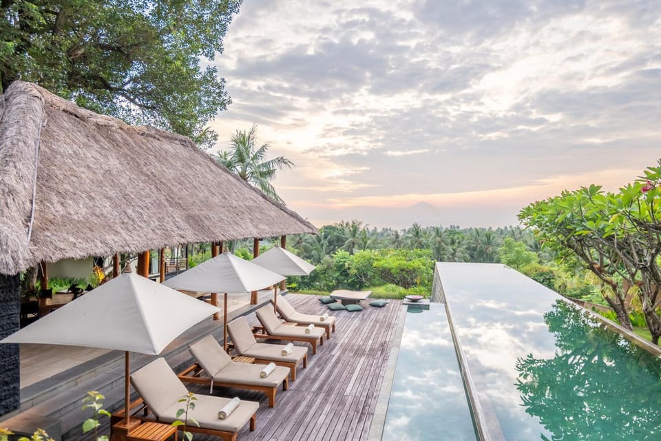 Day, Natural landscape, Garden, Garden view, Pool view, Swimming pool, Swimming pool, sunbed