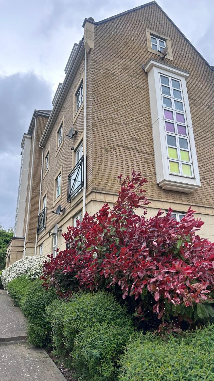 Property building, Garden view