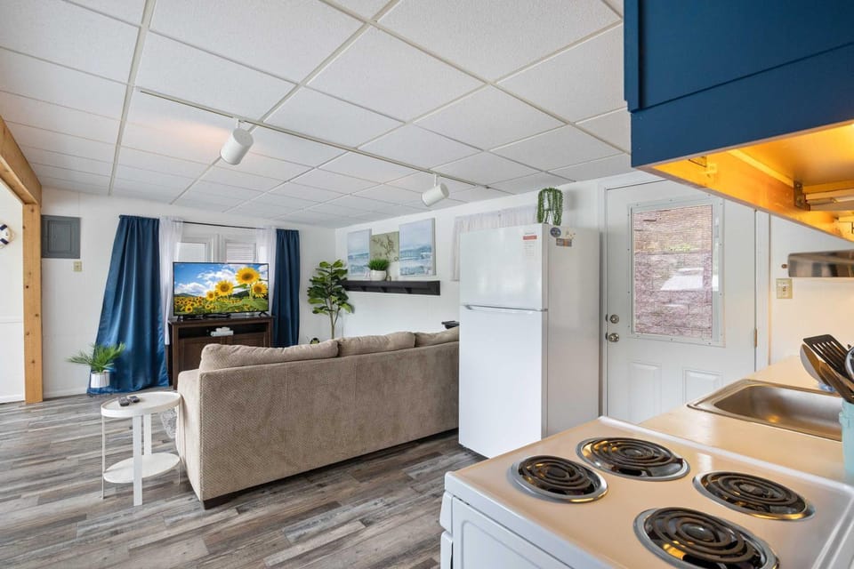 Kitchen or kitchenette, Living room, Seating area, Dining area, oven, stove, kitchen