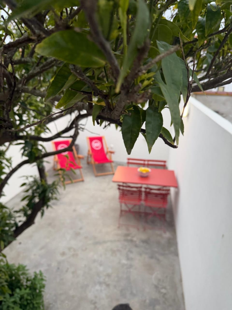 Patio, Garden, Balcony/Terrace