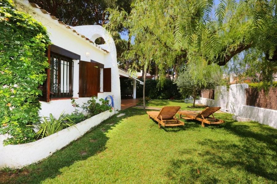 Patio, Garden, Garden view