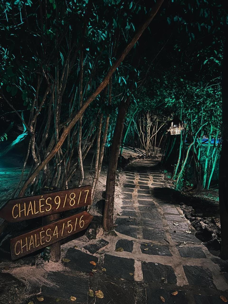 Chalé 8 House in Pipa Beach