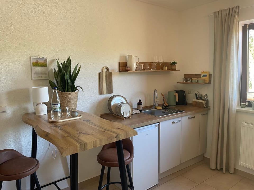 Kitchen or kitchenette, kitchen, kitchen