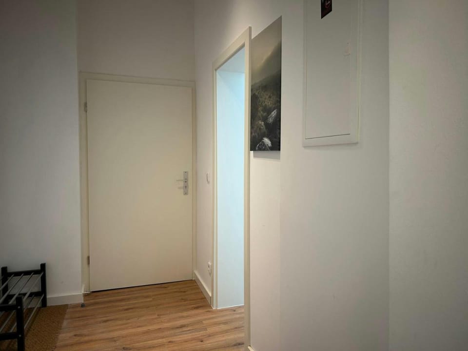 Central and Spacious Apartment for 4 Apartment in Wiesbaden