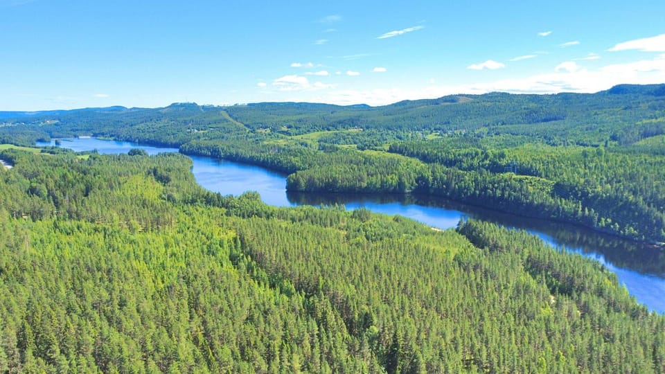 Natural landscape