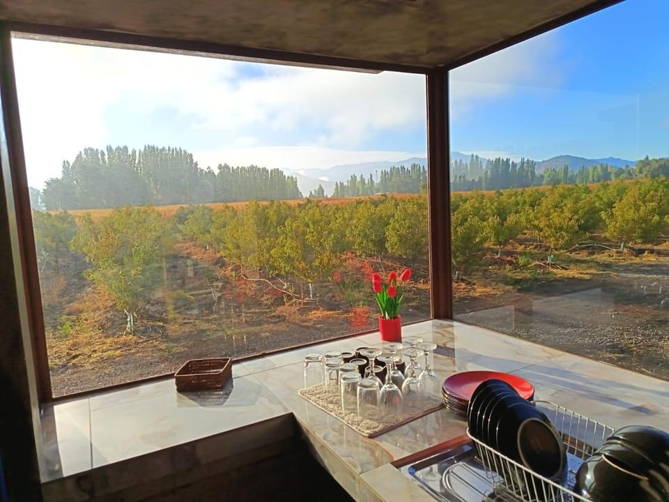 Nuevas Cabañas y Loft Malloa - Naturaleza Desconexión y Viñedos - VI Región Apartment in O'Higgins, Chile