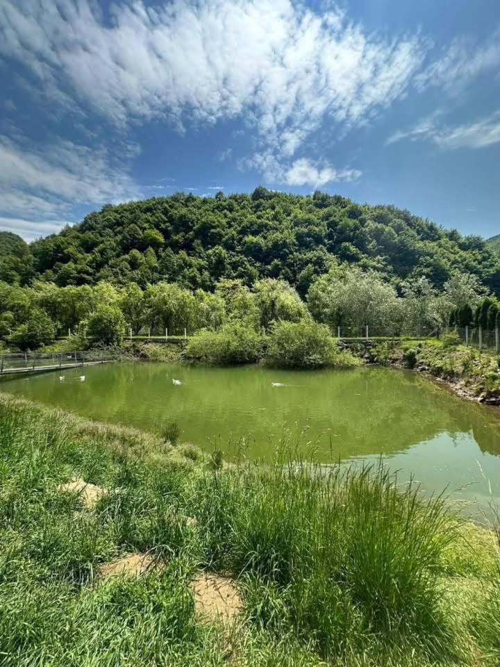 Agropensiunea Dănilă Villa in Romania