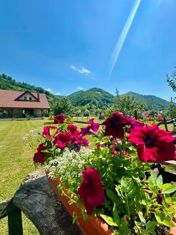 Agropensiunea Dănilă Villa in Romania