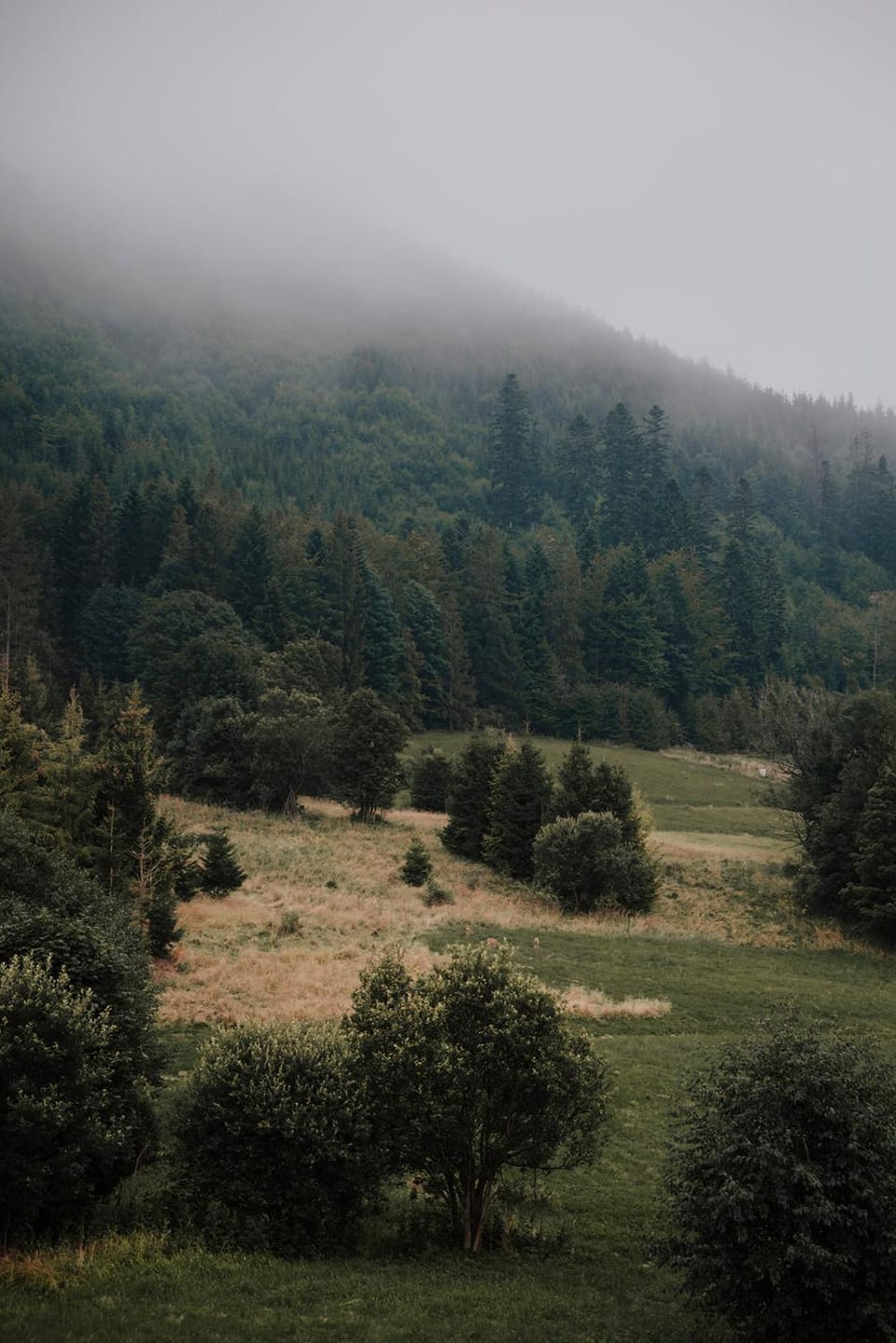 Day, Natural landscape, Mountain view