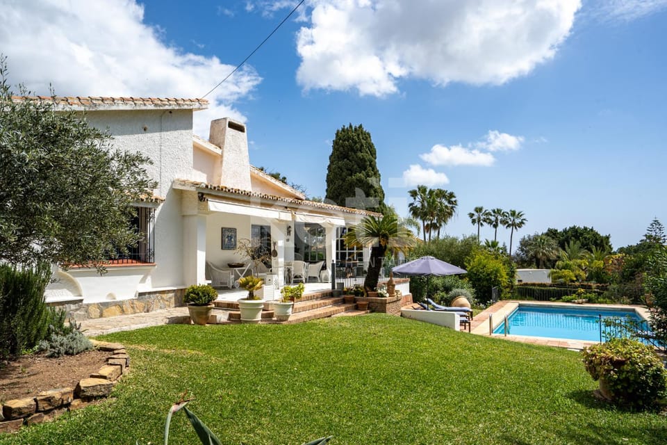 Garden, Garden view, Swimming pool, sunbed