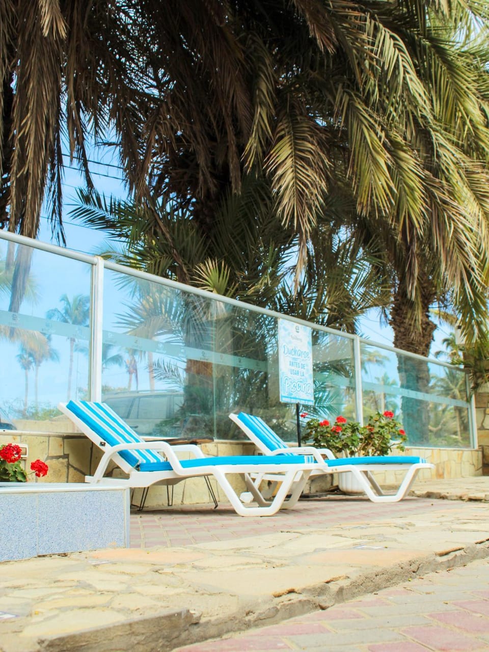 Swimming pool, sunbed