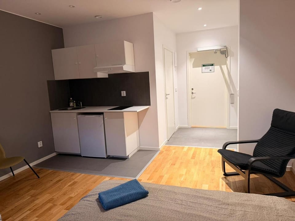 Bed, Kitchen or kitchenette, Living room, Photo of the whole room, Seating area, towels