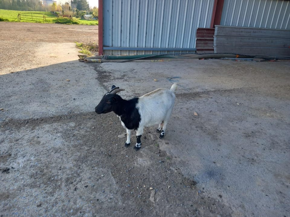 A la ferme chez Christian Farm Stay in Cambrai