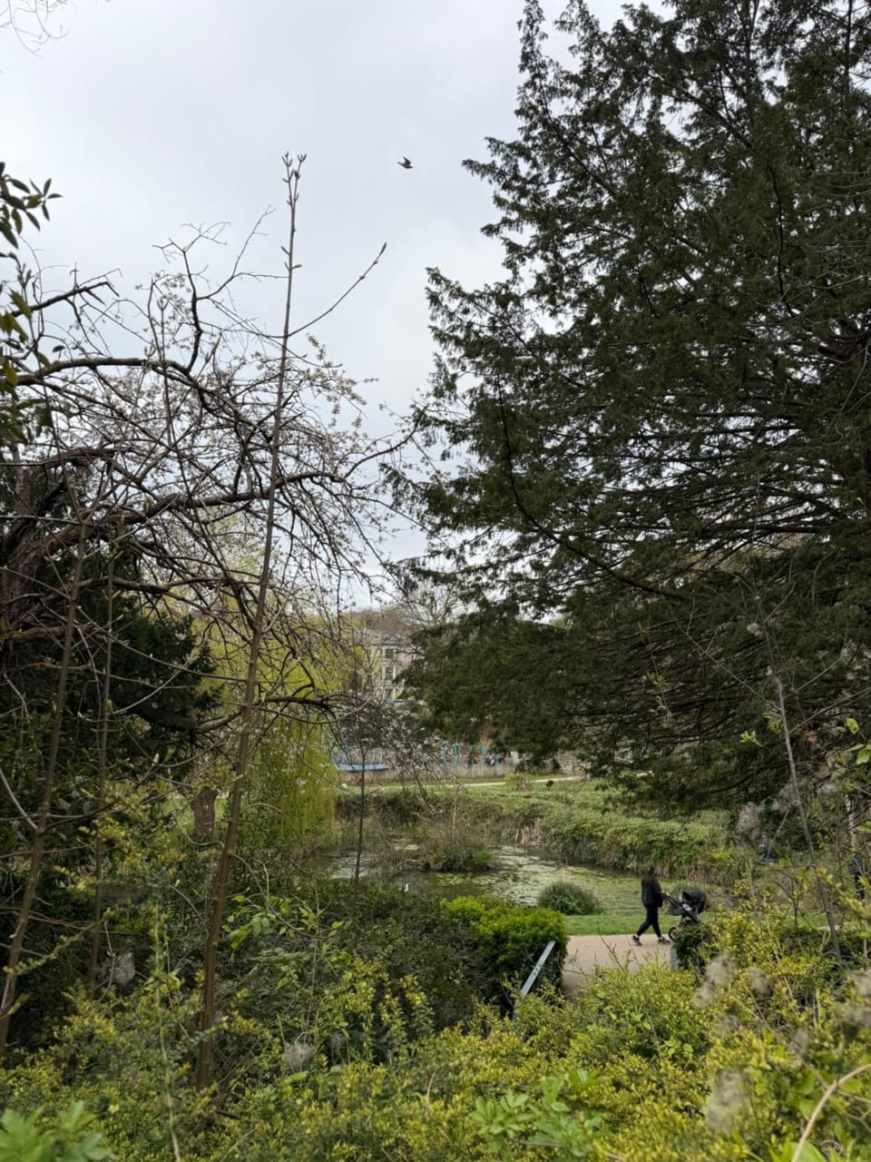 Natural landscape