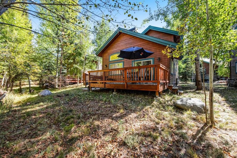 McCall Home Pool Hot Tub & Gym Access House in McCall