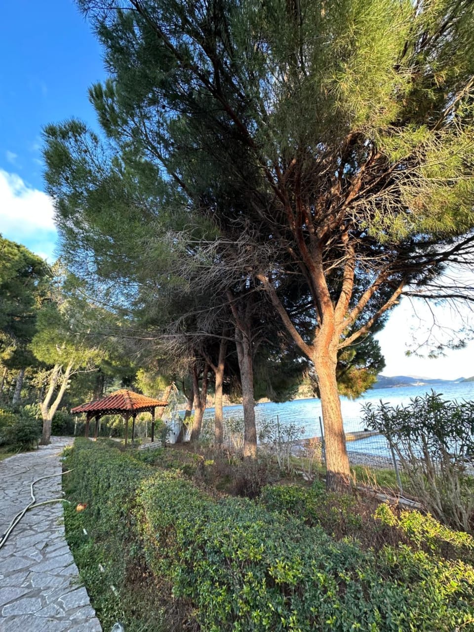 Fokiotrypa Seaside Retreat Villa in Greece