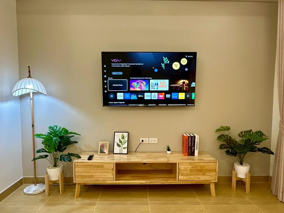 TV and multimedia