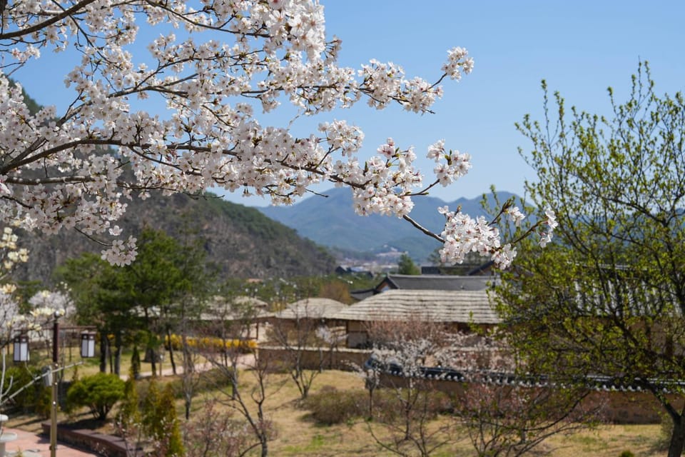 Spring, Natural landscape, Mountain view