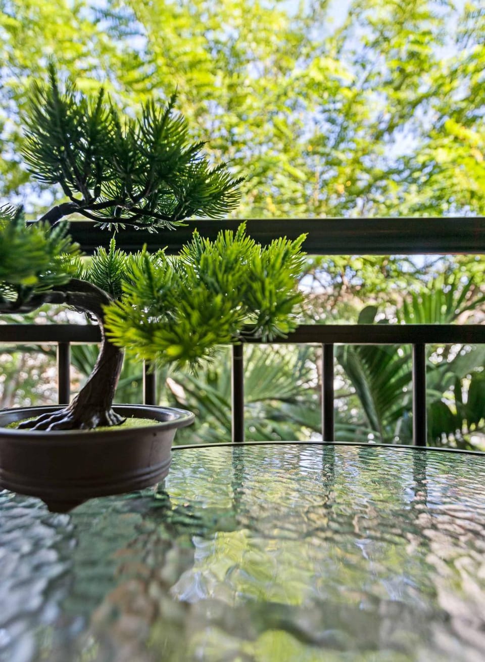 Natural landscape, Garden view