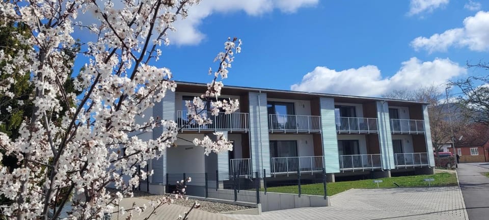 Property building, Garden view