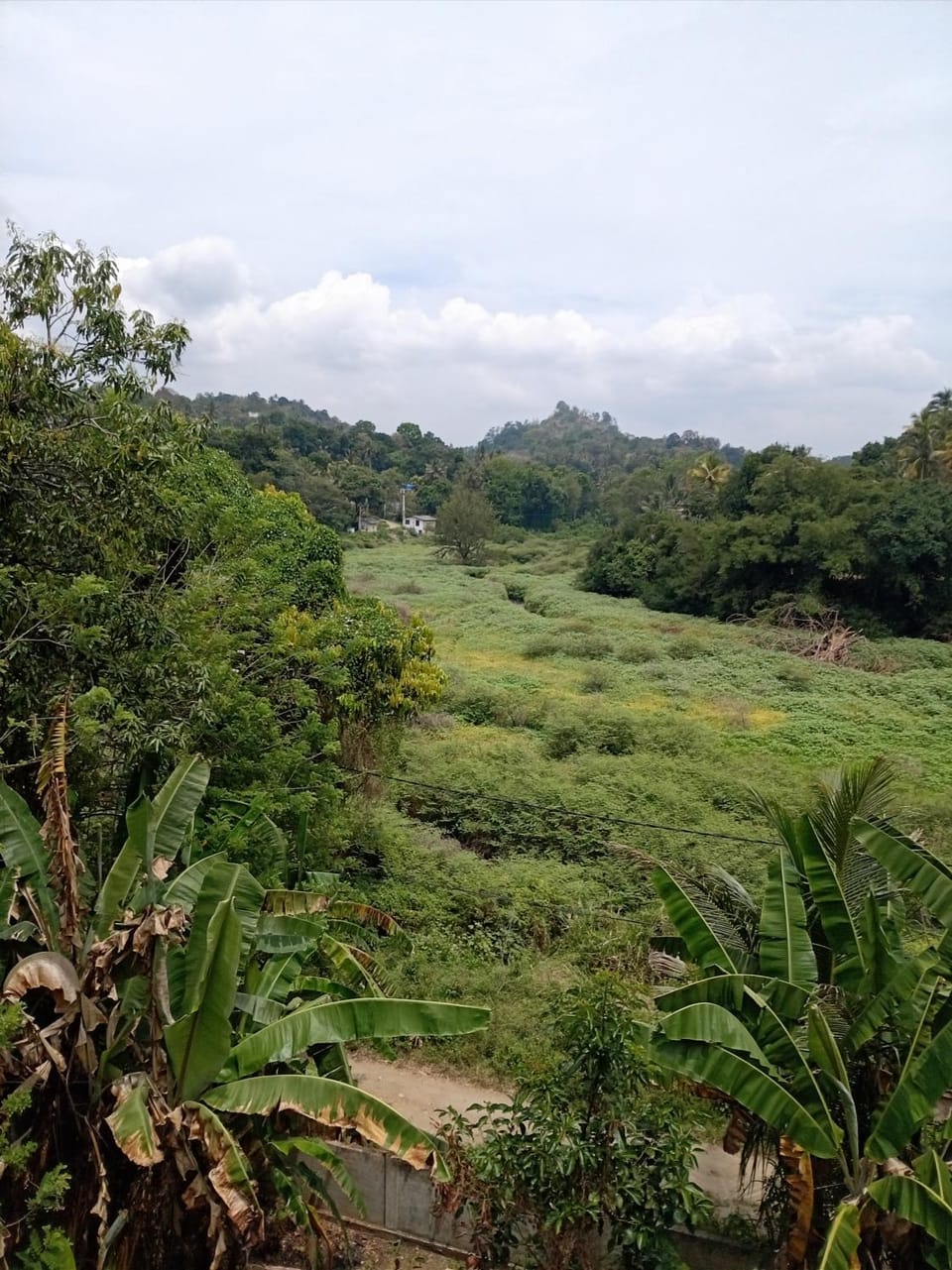 Padiwatte Residencies Vacation rental in Gangawatakorale