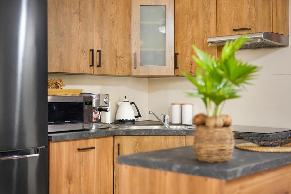 Coffee/tea facilities, Kitchen or kitchenette, dishwasher, minibar, oven, stove, toaster