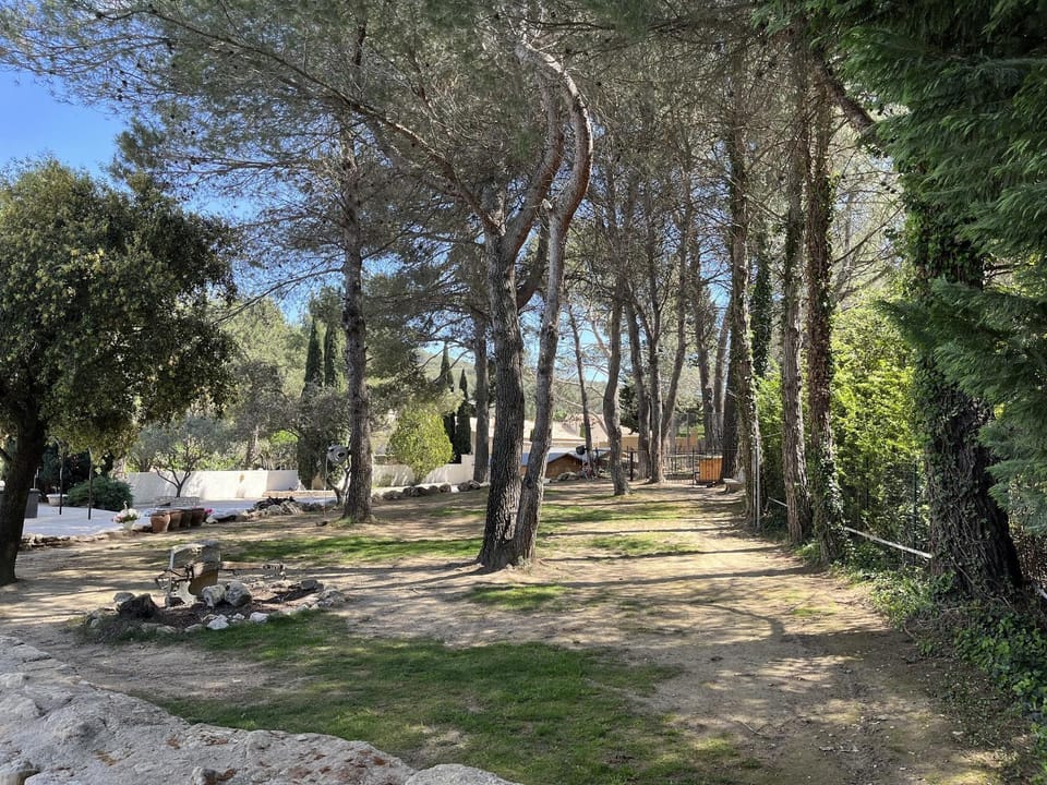 Patio, Garden, Garden view