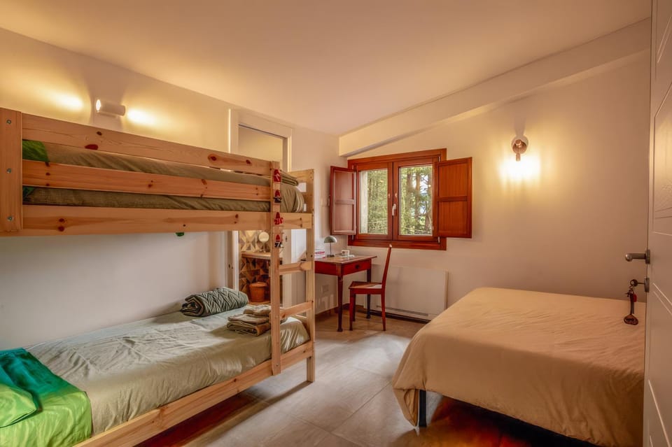 Bed, Photo of the whole room, Bedroom, bunk bed