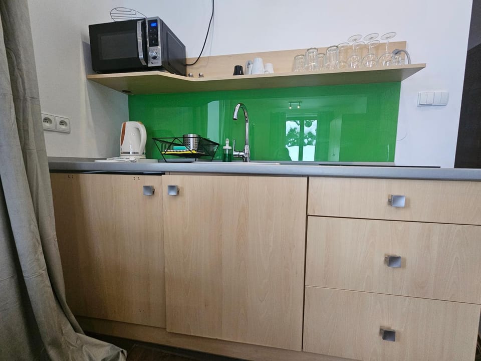 Przystanek Dolina Kościeliska Apartment in Lesser Poland Voivodeship