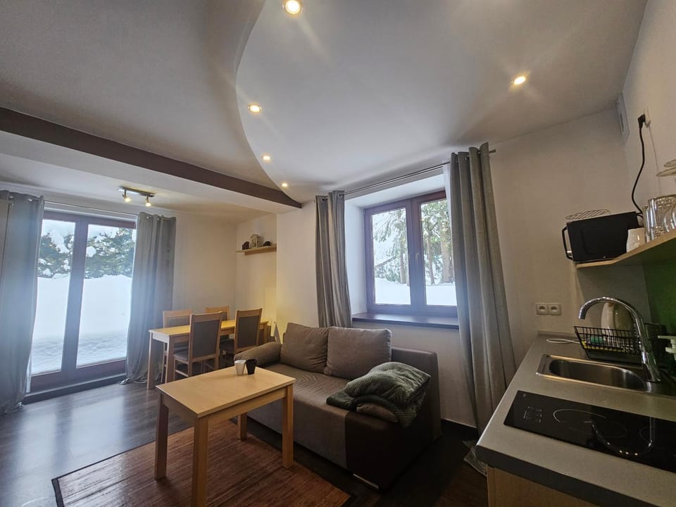 Przystanek Dolina Kościeliska Apartment in Lesser Poland Voivodeship