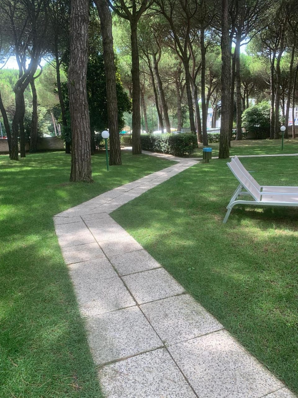 Garden view