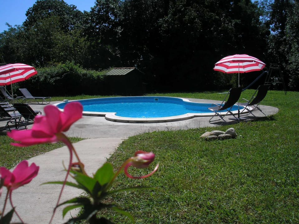 Garden, Garden view, Swimming pool