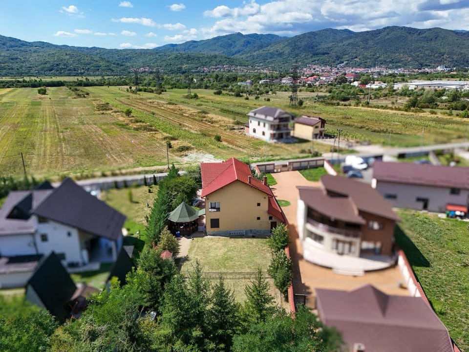 Natural landscape, Garden, Mountain view