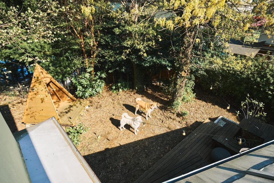 Pine Cone Base Villa in Shizuoka Prefecture