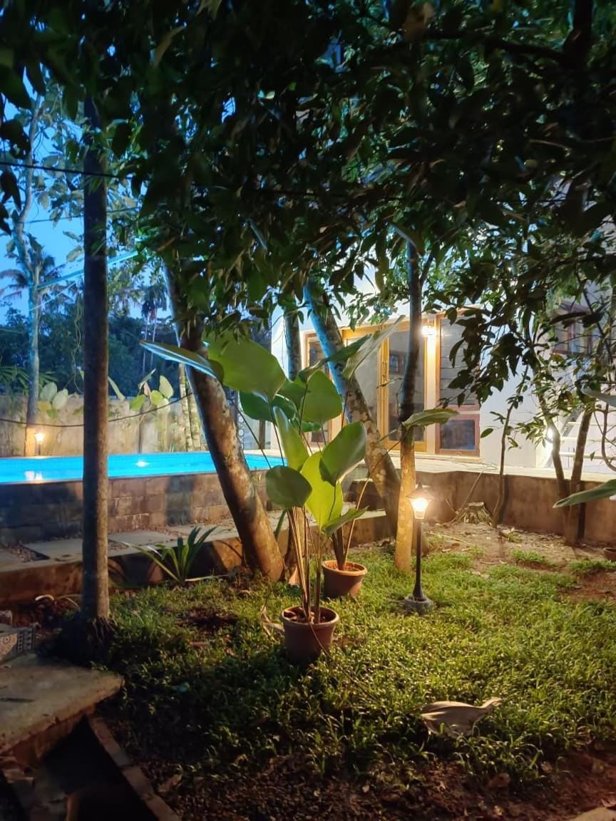 Garden, Swimming pool