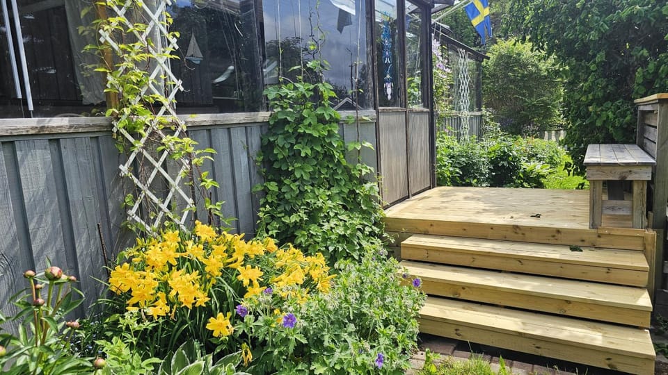 Patio, Garden, Garden view