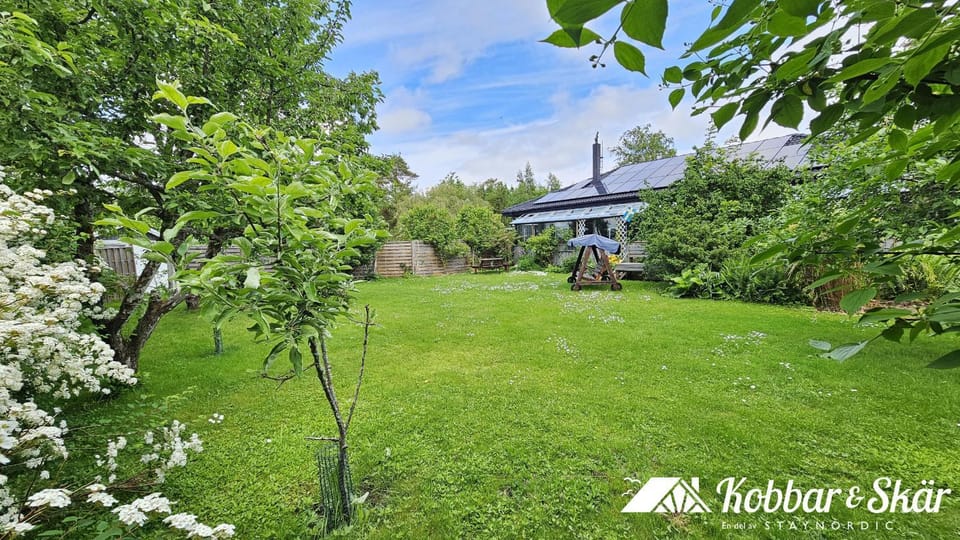 Patio, Garden, Garden view