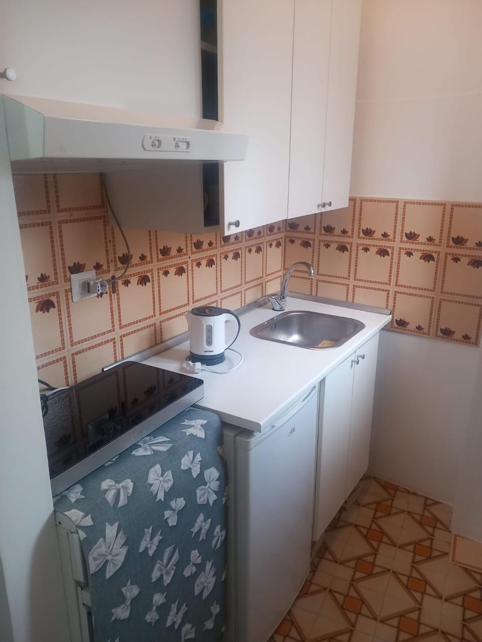 Kitchen or kitchenette, kitchen