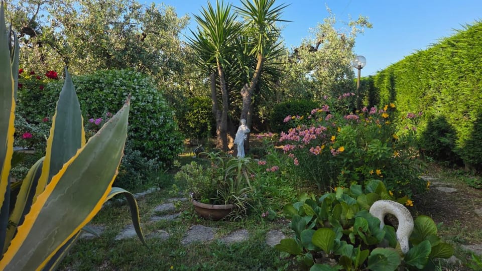 Garden, Garden view