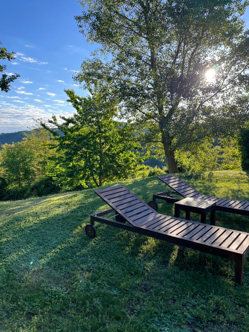Day, Garden, Mountain view