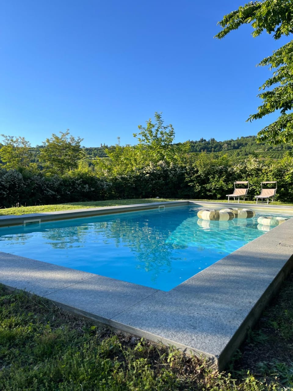 Garden view, Swimming pool