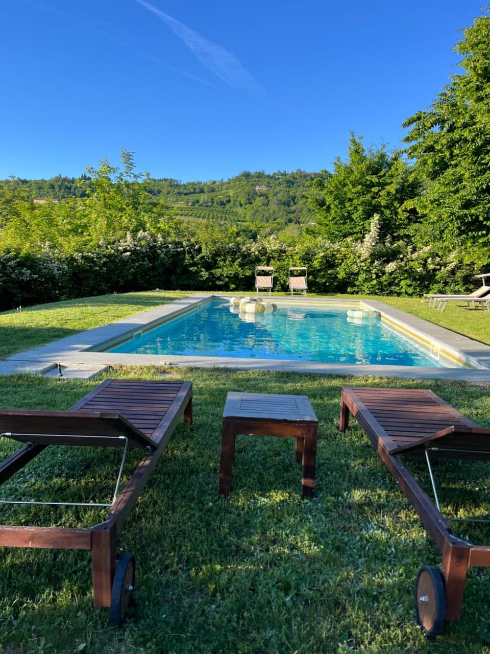 Garden, Garden view, Swimming pool
