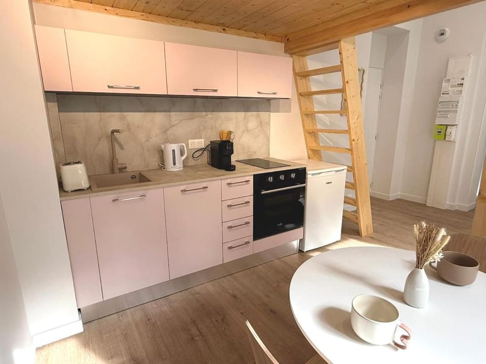 L'Atelier Rose Apartment in Villefranche-sur-Saone