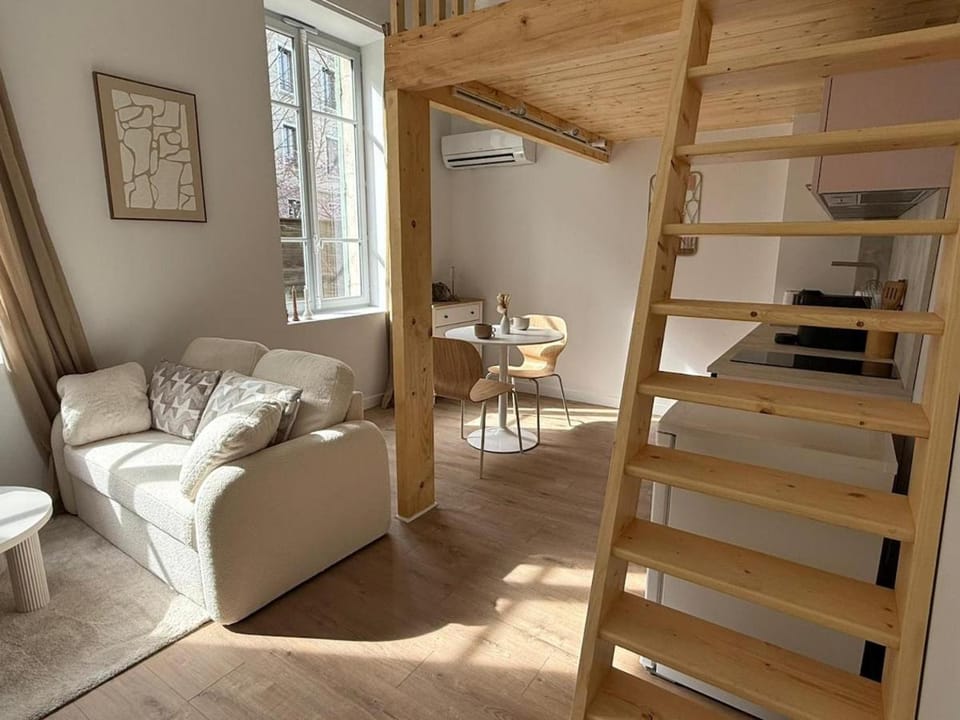 L'Atelier Rose Apartment in Villefranche-sur-Saone