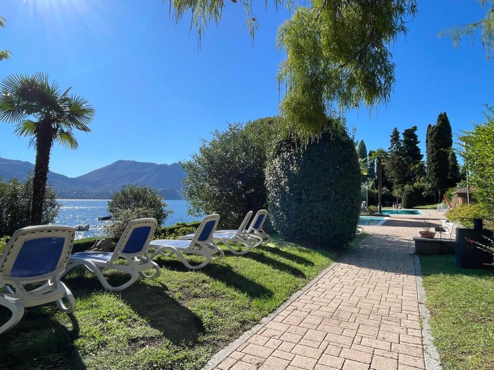 Garden, Swimming pool, sunbed