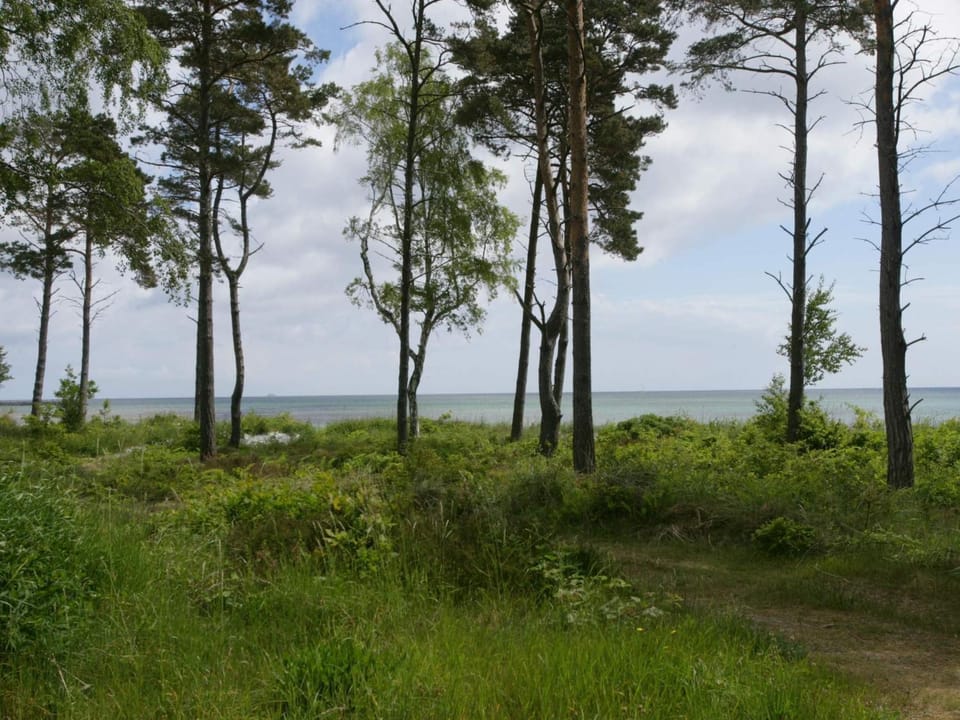 Lake view