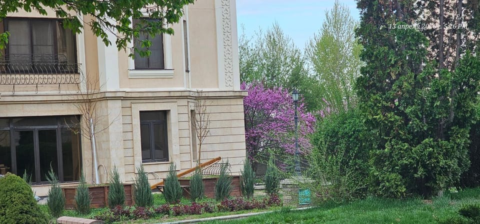 Spring, Day, Garden